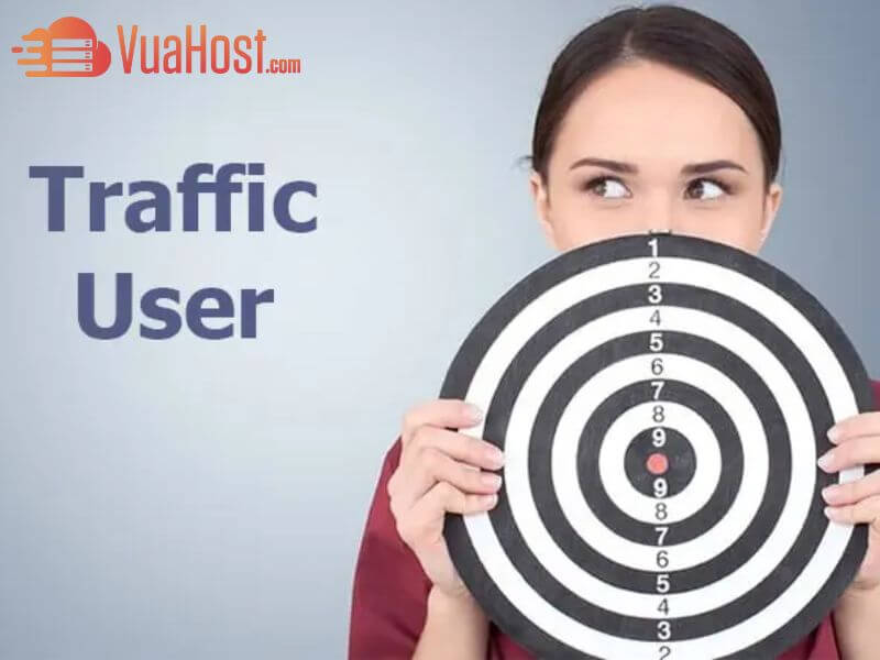 Lợi ích nổi bật của việc sử dụng traffic user là gì trong SEO?