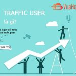 Traffic User Là Gì? Bí Quyết Tăng Traffic User Chất Lượng Cho Website