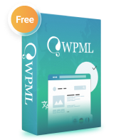 quà tặng plugin WPML