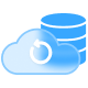 Backup Icon